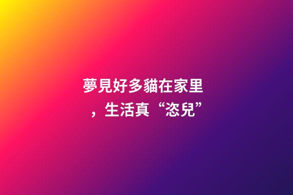 夢見好多貓在家里，生活真“恣兒”